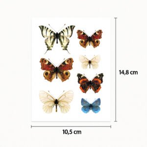 Tattoo echter Schmetterling