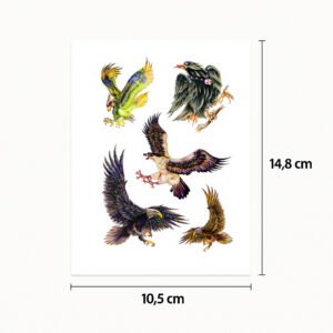 Tattoo coole Vögel